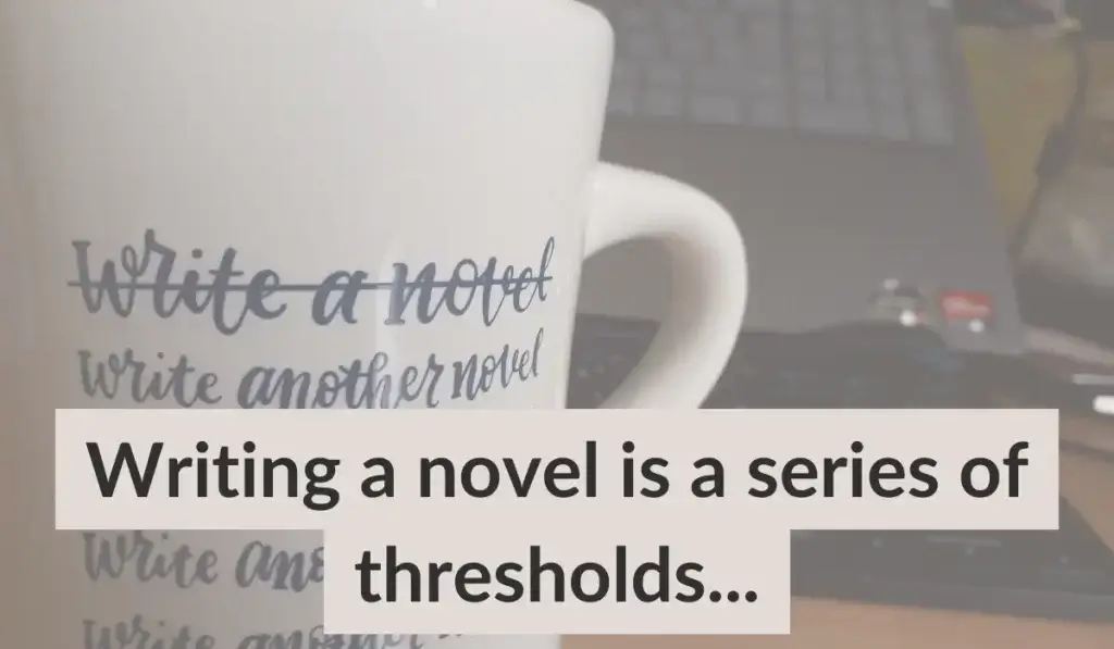 A Nanowrimo mug with the words Write your Novel, Write another novel on it.