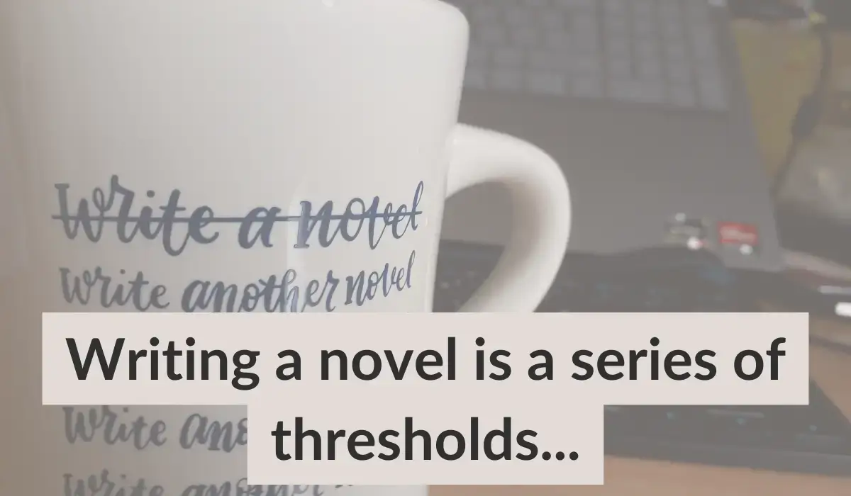 A Nanowrimo mug with the words Write your Novel, Write another novel on it.